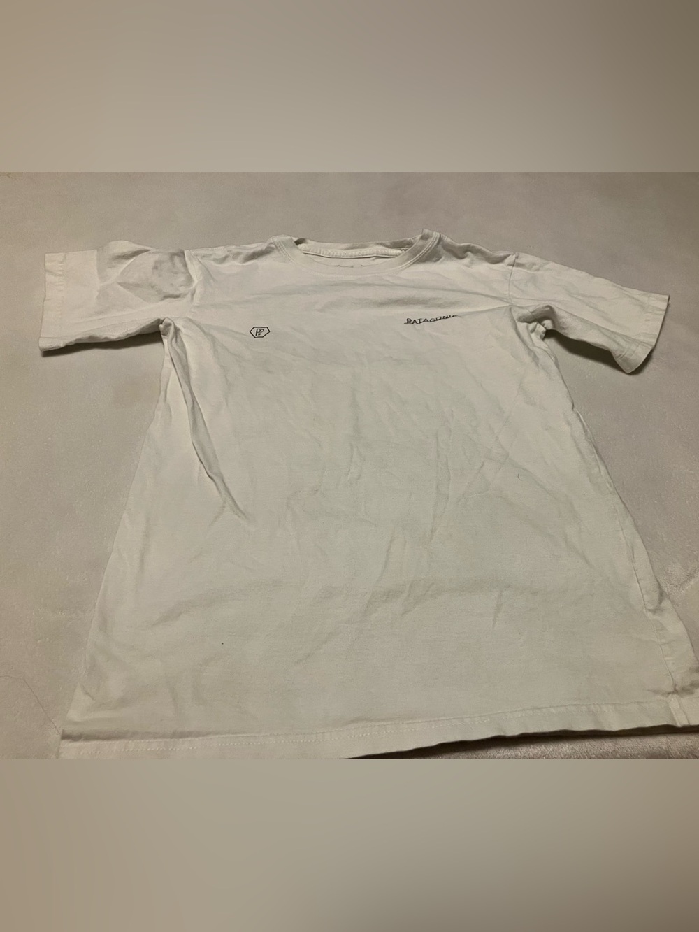 Patagonia White Short Sleeve Logo T-Shirt - Picture 1 of 4